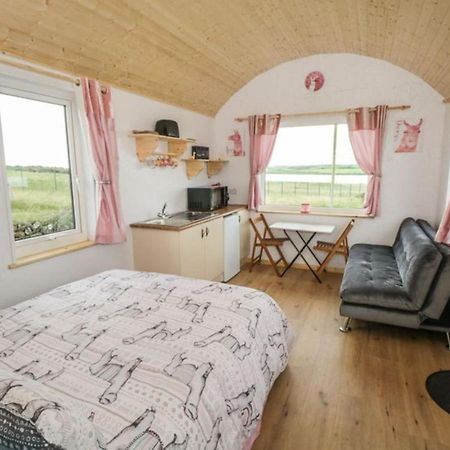 The Beautiful Lazy Llama Shepherd Hut Farm Stay Ballyshannon Exterior photo