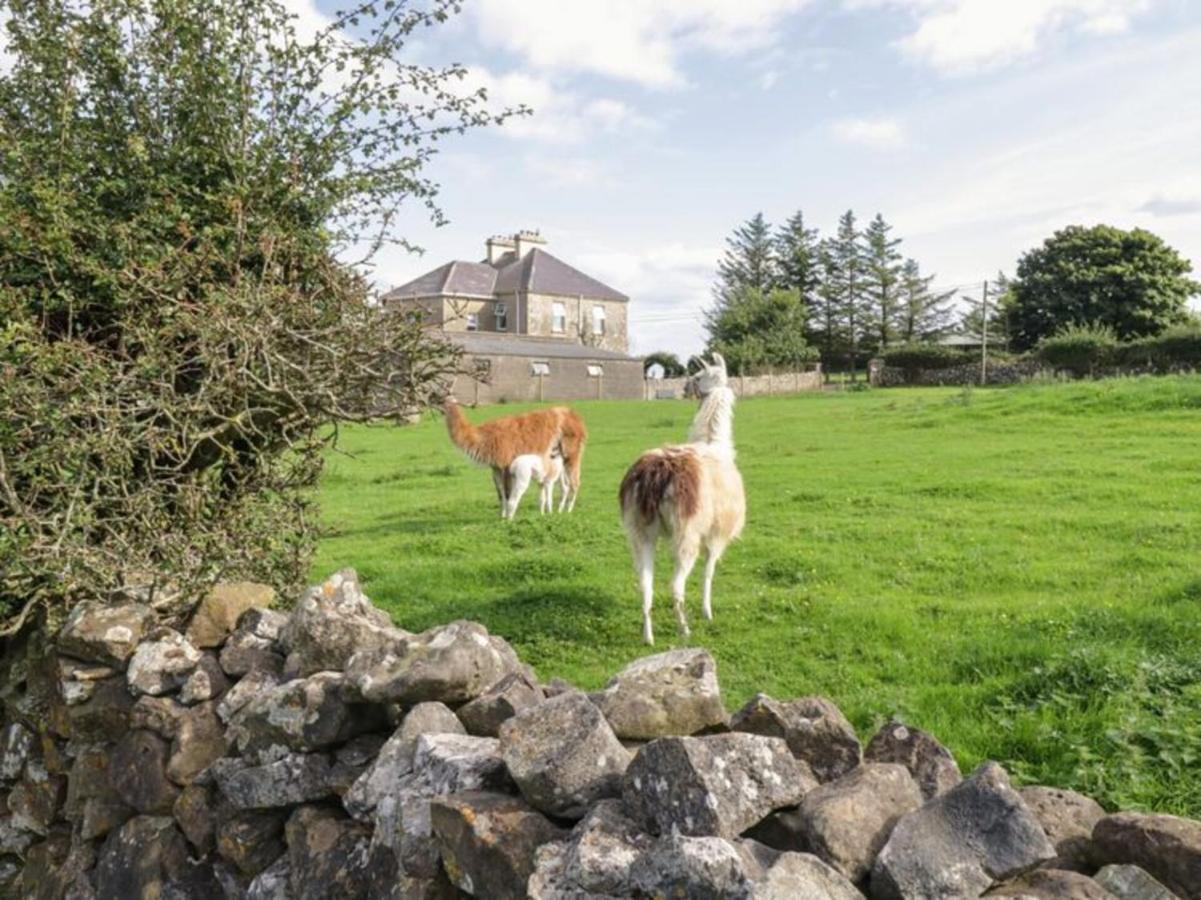 The Beautiful Lazy Llama Shepherd Hut Farm Stay Ballyshannon Exterior photo