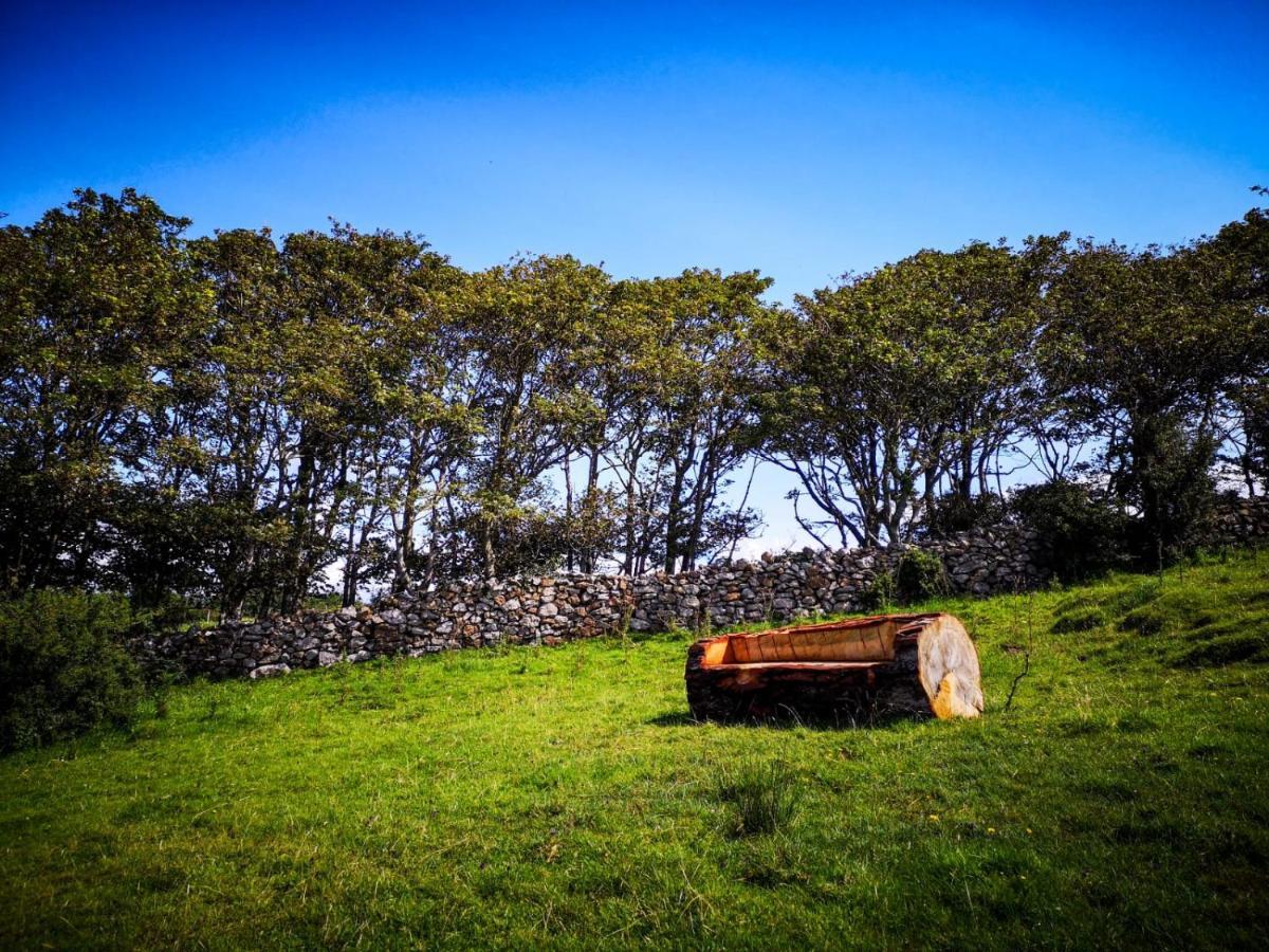 The Beautiful Lazy Llama Shepherd Hut Farm Stay Ballyshannon Exterior photo