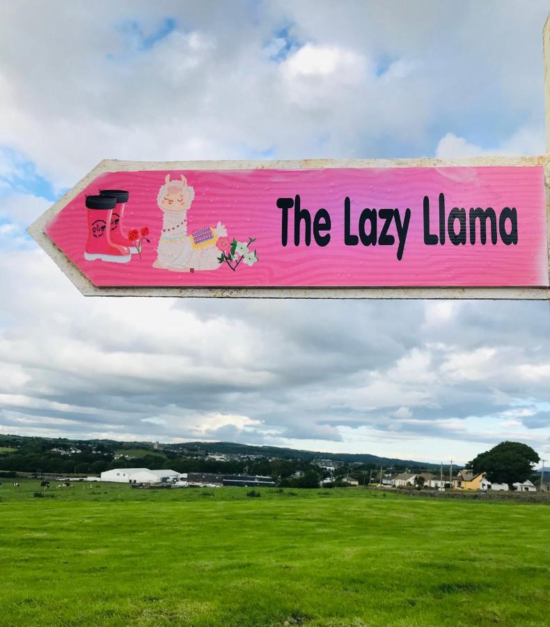 The Beautiful Lazy Llama Shepherd Hut Farm Stay Ballyshannon Exterior photo